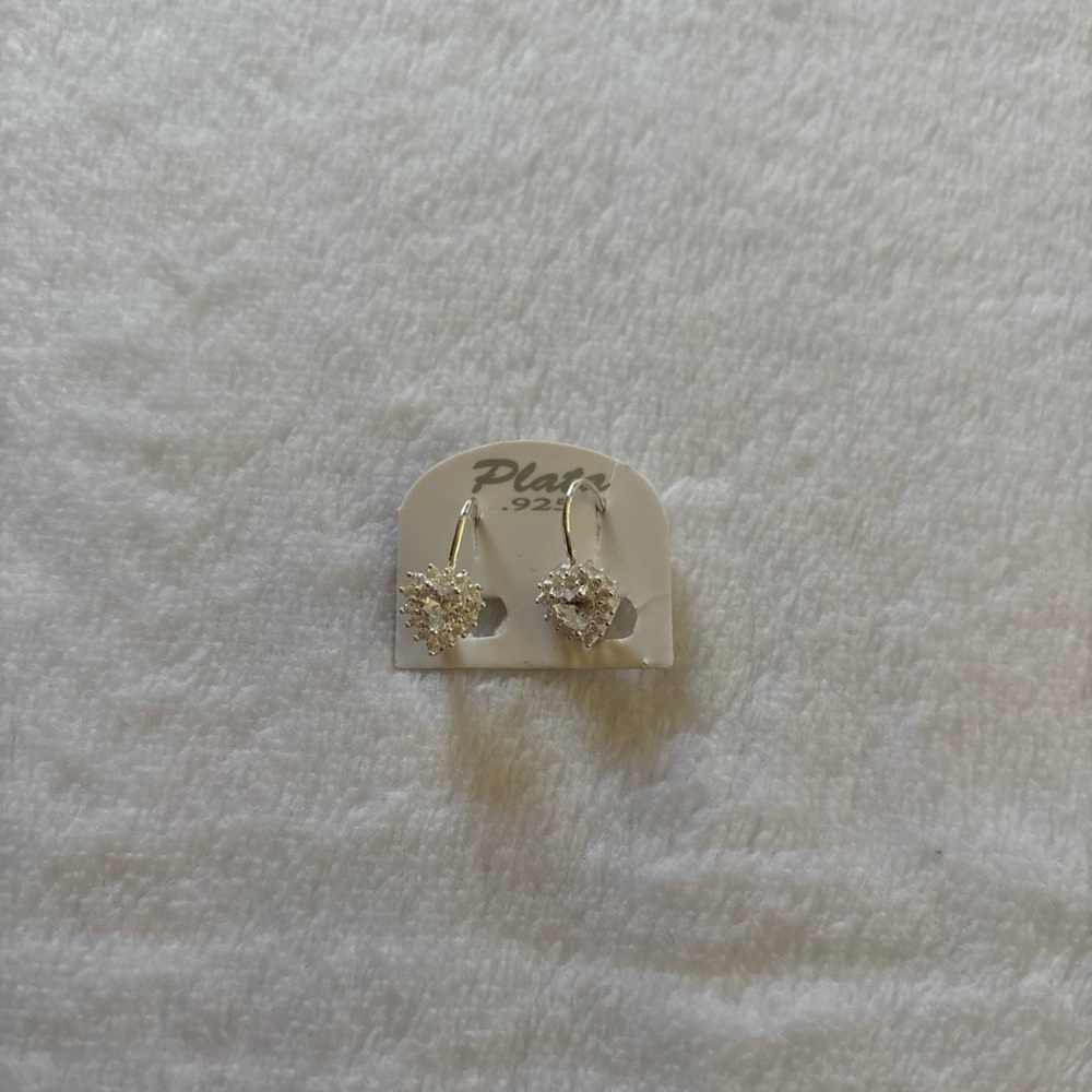 Elegant Silver Heart Earrings